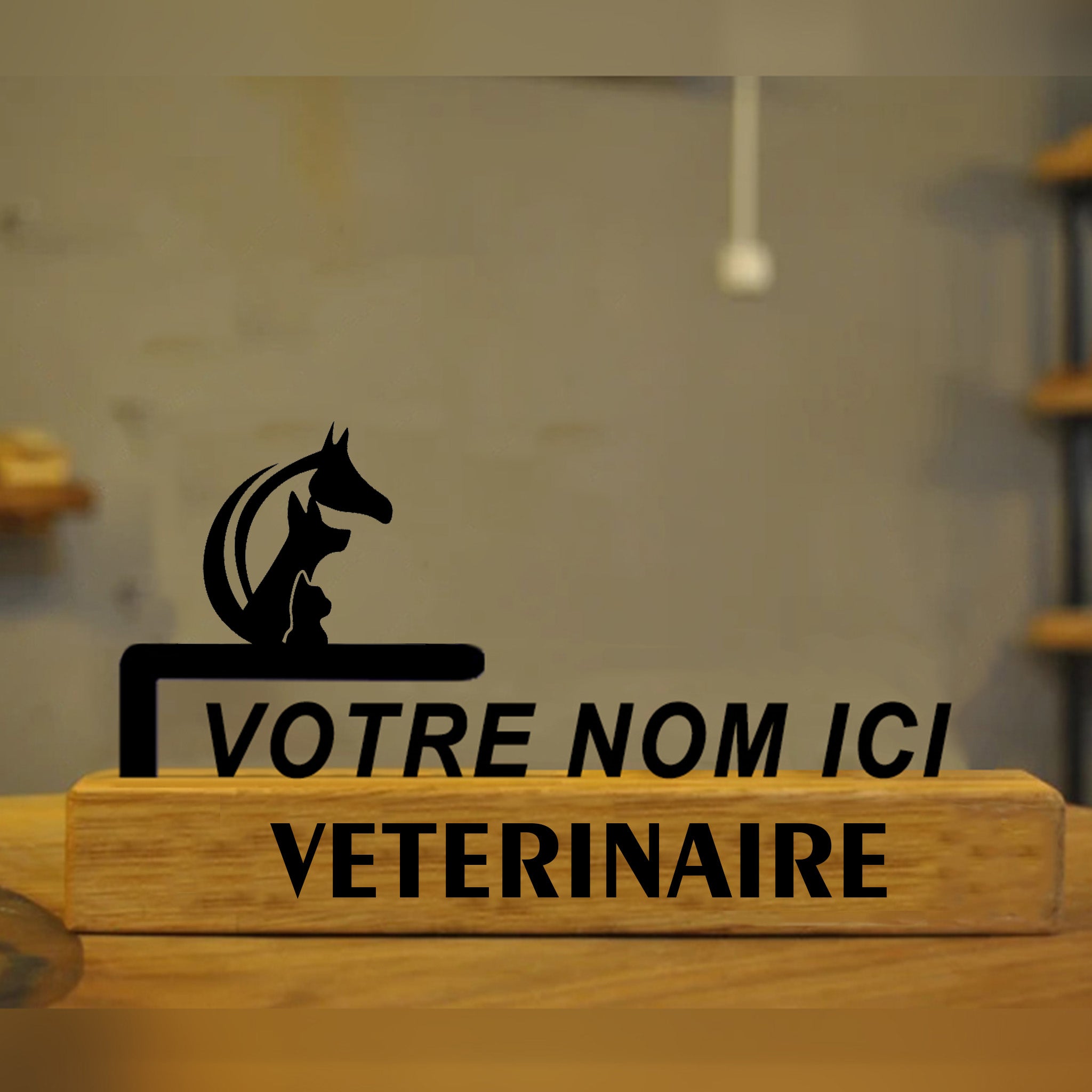 VETERINAIRE #1